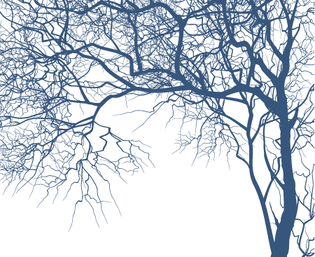Mf Free Vector Tree Shape Vector Nhokmon Has 450x367 Mf Free Vector Tree Shape Vector Nhokmon Has