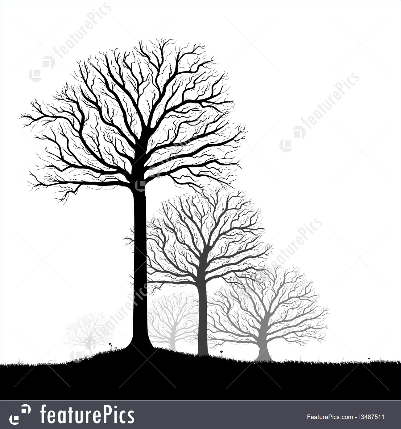 Plants Trees Silhouette, Black And White Vector Shape And Grass 1300x1392 Plants Trees Silhouette, Black And White Vector Shape And Grass