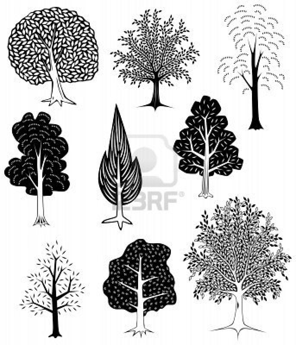 Stock Vector Pretty Ink Vector Trees, Tree Artwork, Tree 1029x1200 Stock Vector Pretty Ink Vector Trees, Tree Artwork, Tree