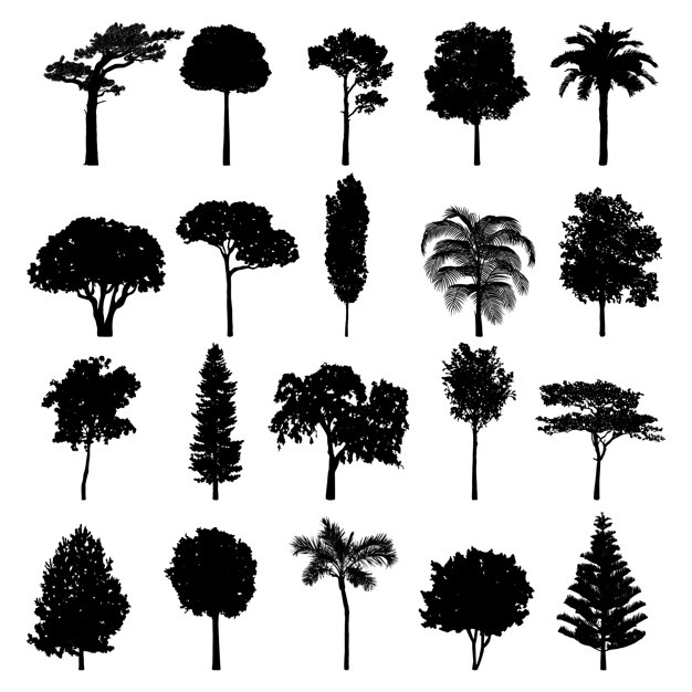 Tree Silhouette Vectors, Photos And Free Download 626x626 Tree Silhouette Vectors, Photos And Free Download