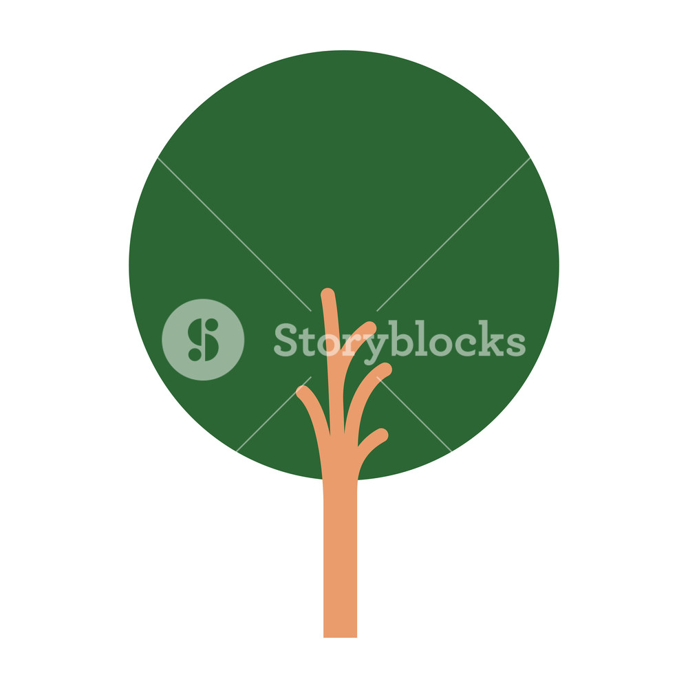 White Background With Abstract Tree With Foliage In Round Shape 1000x1000 White Background With Abstract Tree With Foliage In Round Shape