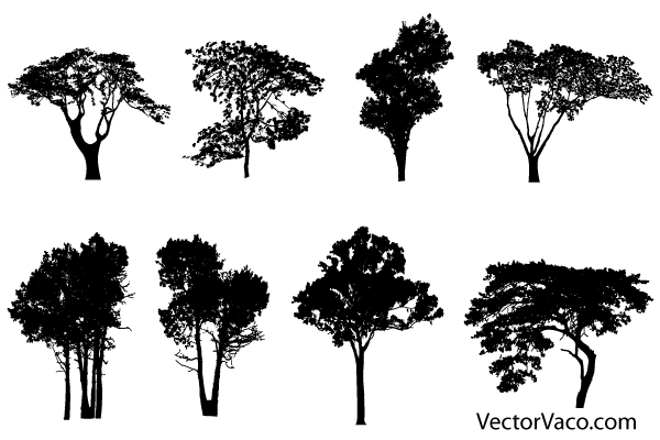600x400 Free Tree Silhouette Vectors Scienceearthecology Tree Icon
