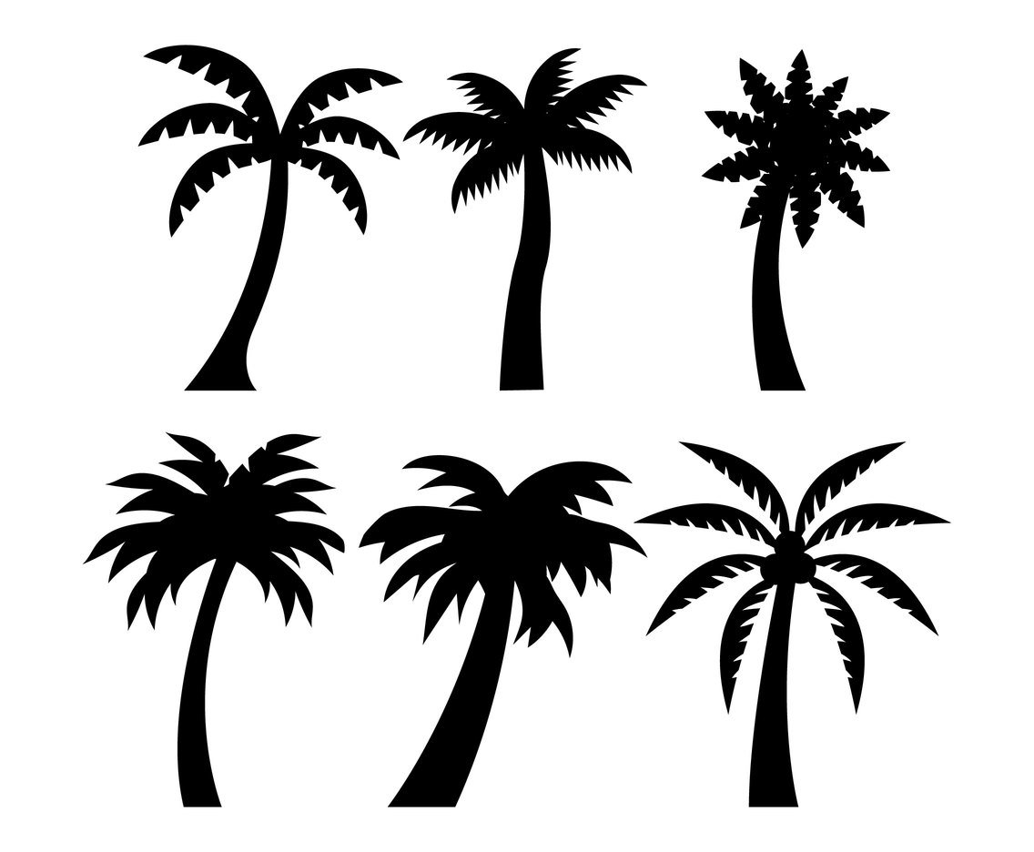 1136x936 Palm Tree Silhouette Vector Art Graphics