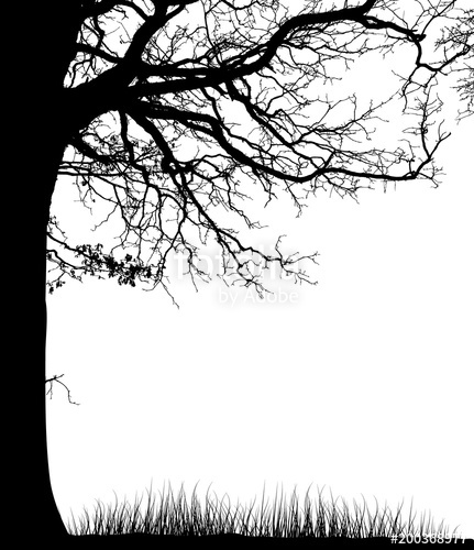 431x500 Realistic Tree Silhouette