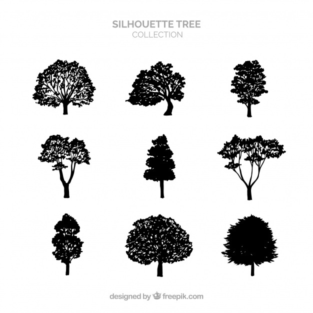 626x626 Tree Silhouette Vectors, Photos And Free Download