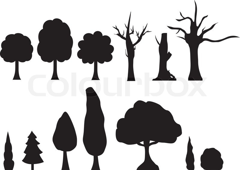 800x567 Tree Silhouette,vector Stock Vector Colourbox
