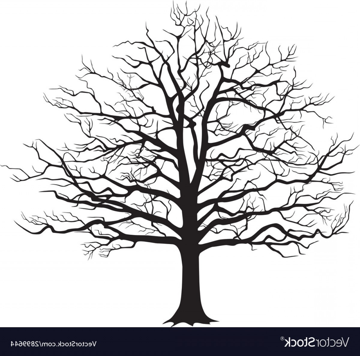 1200x1186 Black Silhouette Bare Tree Vector Soidergi