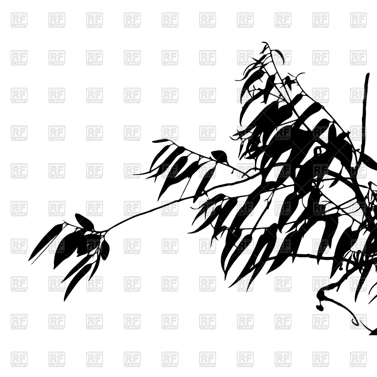 1200x1200 Eucalyptus Tree Silhouette Vector Image Of Plants And Animals