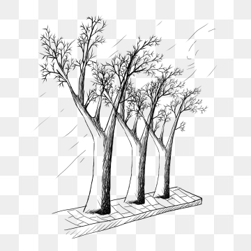360x360 Sketch Tree Png Images Vector And Free Download