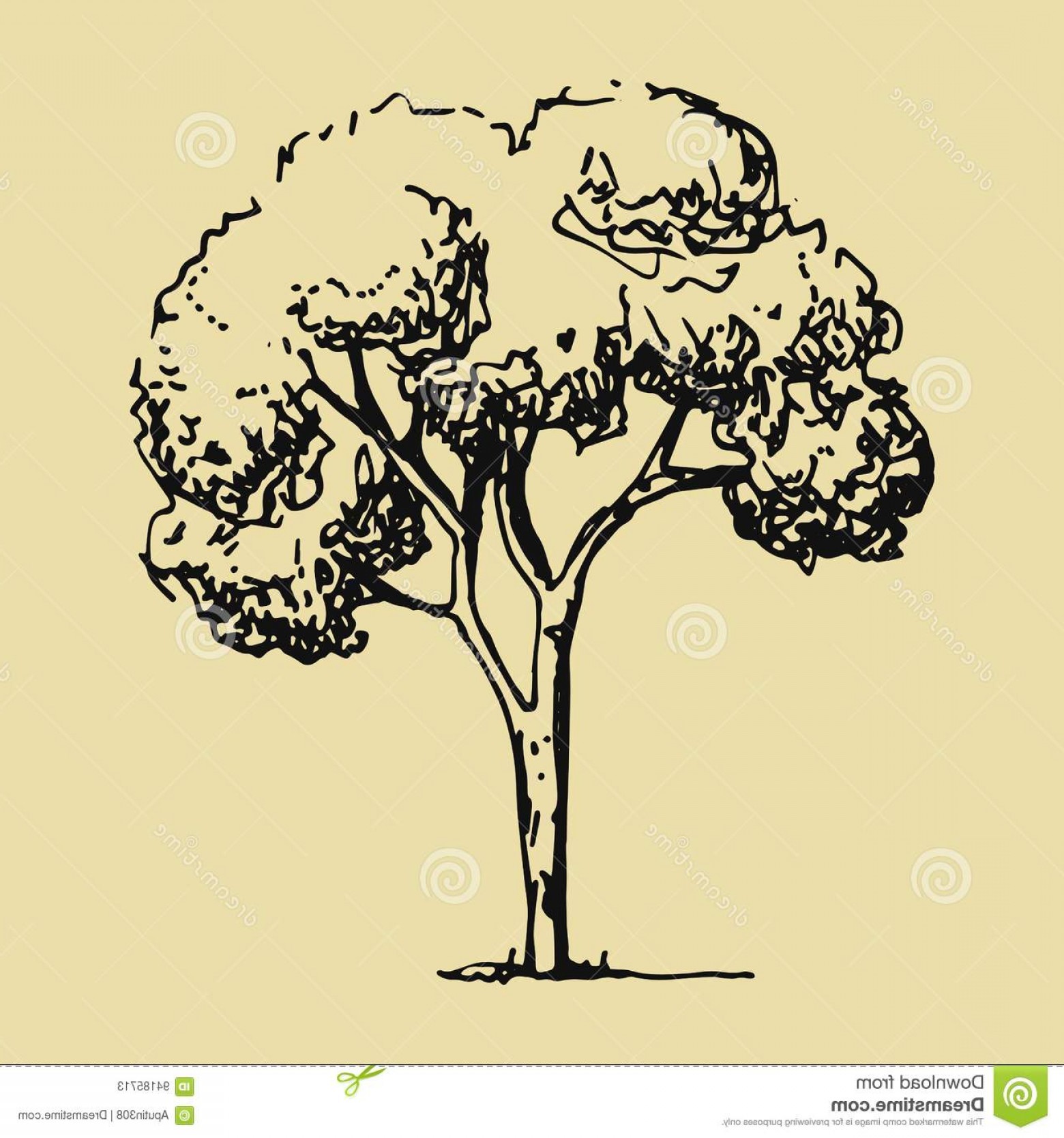 1560x1668 Stock Illustration Tree Sketch Hand Drawing Vector Illustration