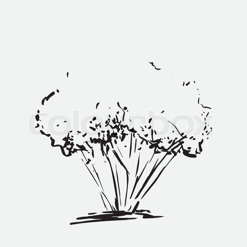 800x800 Stylized Tree Hand Drawn Black Tree Stock Vector Colourbox