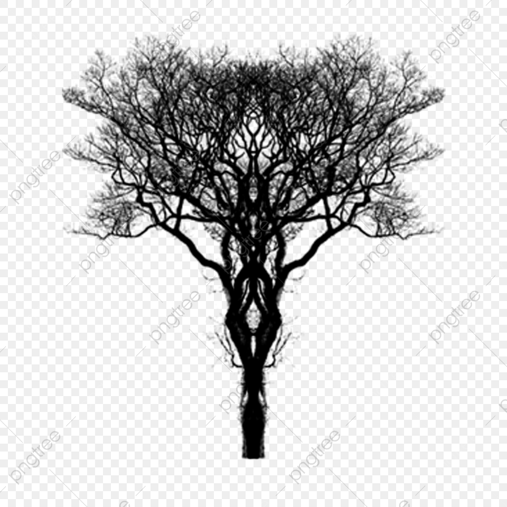 1024x1024 Tree Silhouette, Tree, Sketch Png And Vector With Transparent