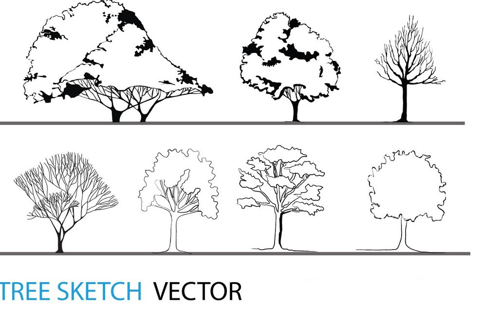 992x668 Tree Sketch Vector Architectural Resources Arch