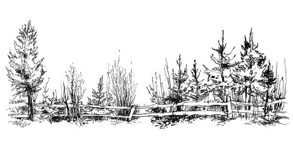 600x300 Trees Sketch Vector Illustration Art Print