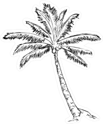 208x250 Vector Single Sketch Palm Tree Sticker