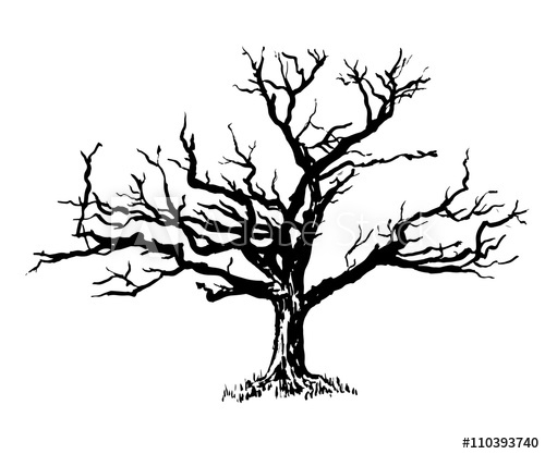 500x417 Drawing A Big Old Sprawling Dry Tree Graphic Ink Isolate Sketch