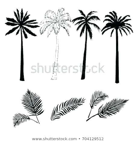 450x470 Palm Tree Sketch