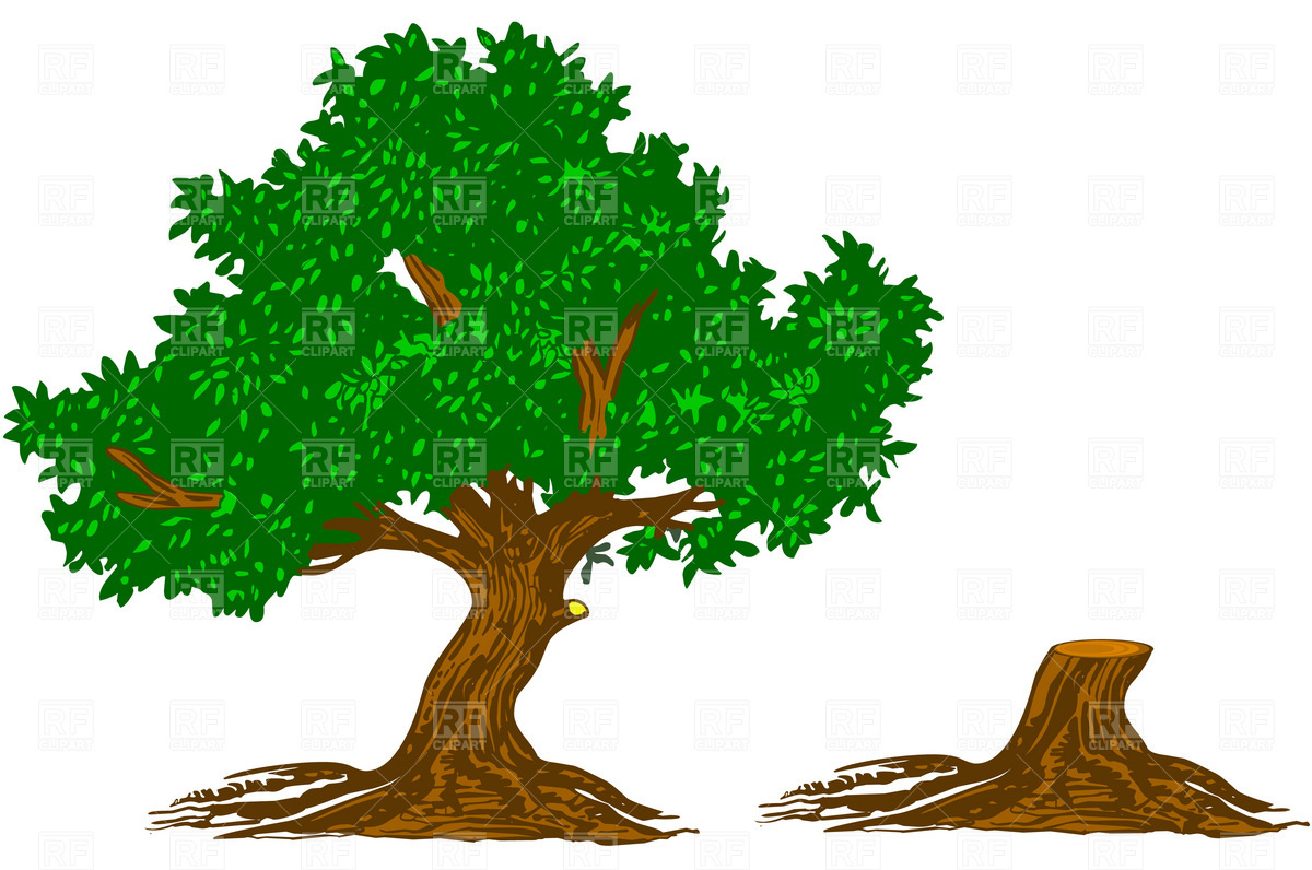 1200x796 Old Tree Stump Clipart Free Cliparts Download Images
