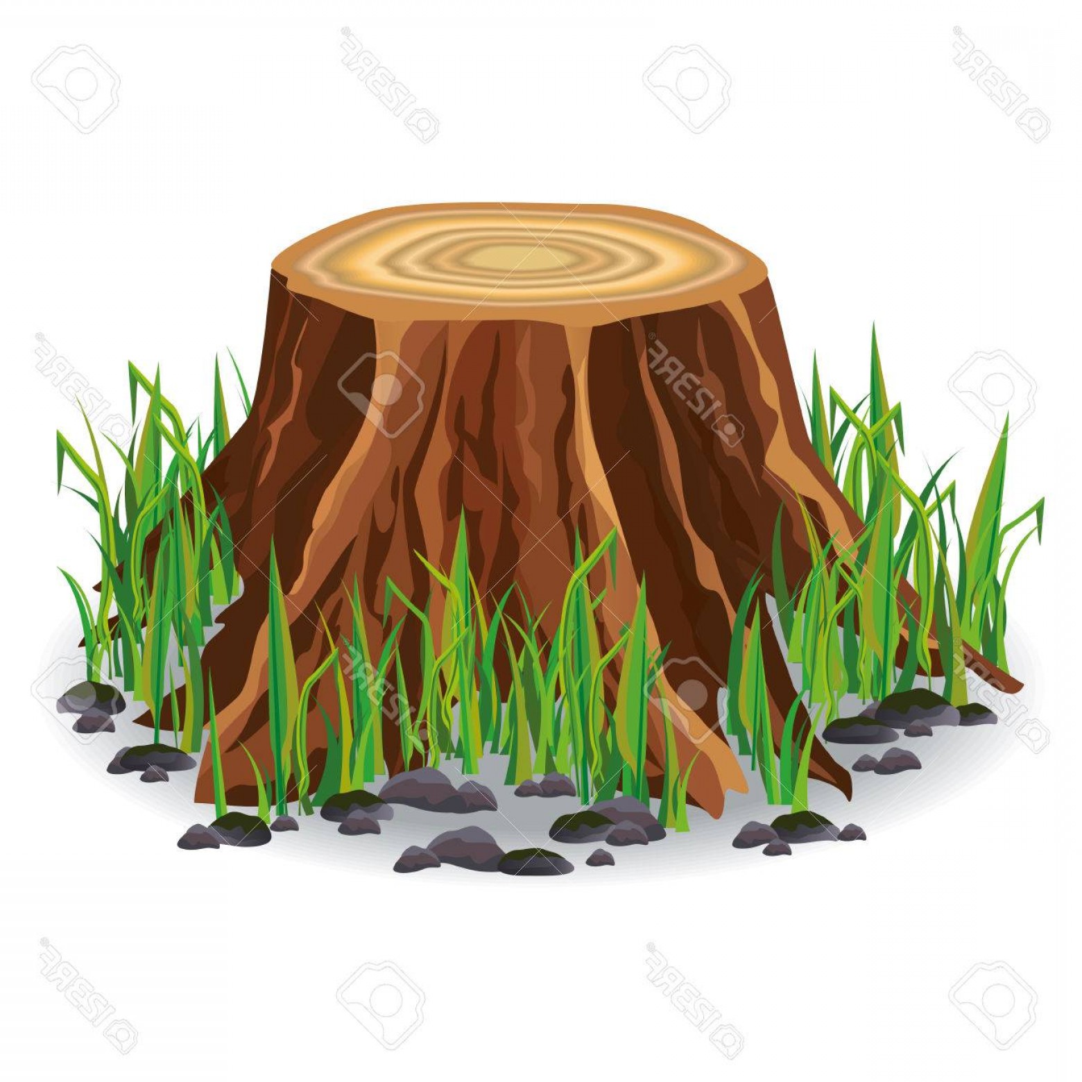 1560x1560 Photostock Vector Realistic Tree Stump With Fresh Green Grass