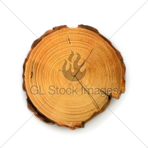 500x500 Tree Stump, Round Cut With Annual Rings Vector Gl Stock Images