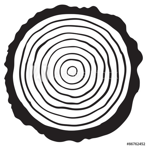 500x500 Cross Section Of Tree Stump, Vector Illustration