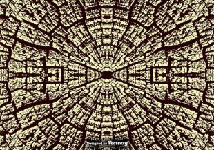 310x217 Tree Rings Texture Vector Free Vectors Ui Download