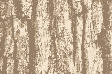 450x299 Vector Grunge Background Old Bark Tree Texture Brown Wooden