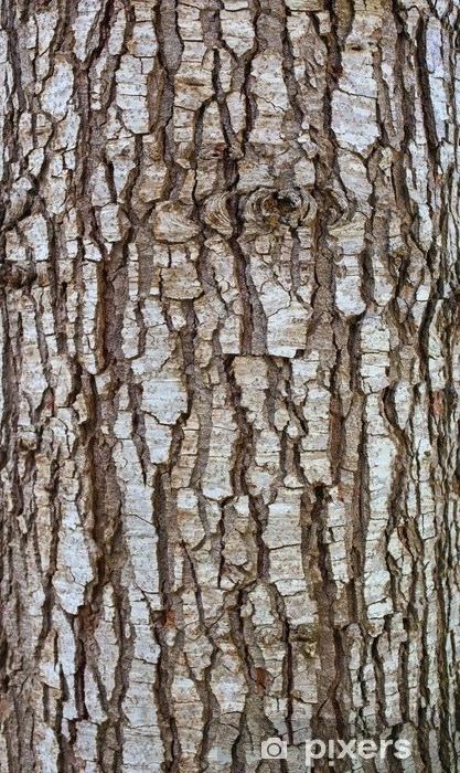 417x700 Wood Bark Image Texture Seamless Vector