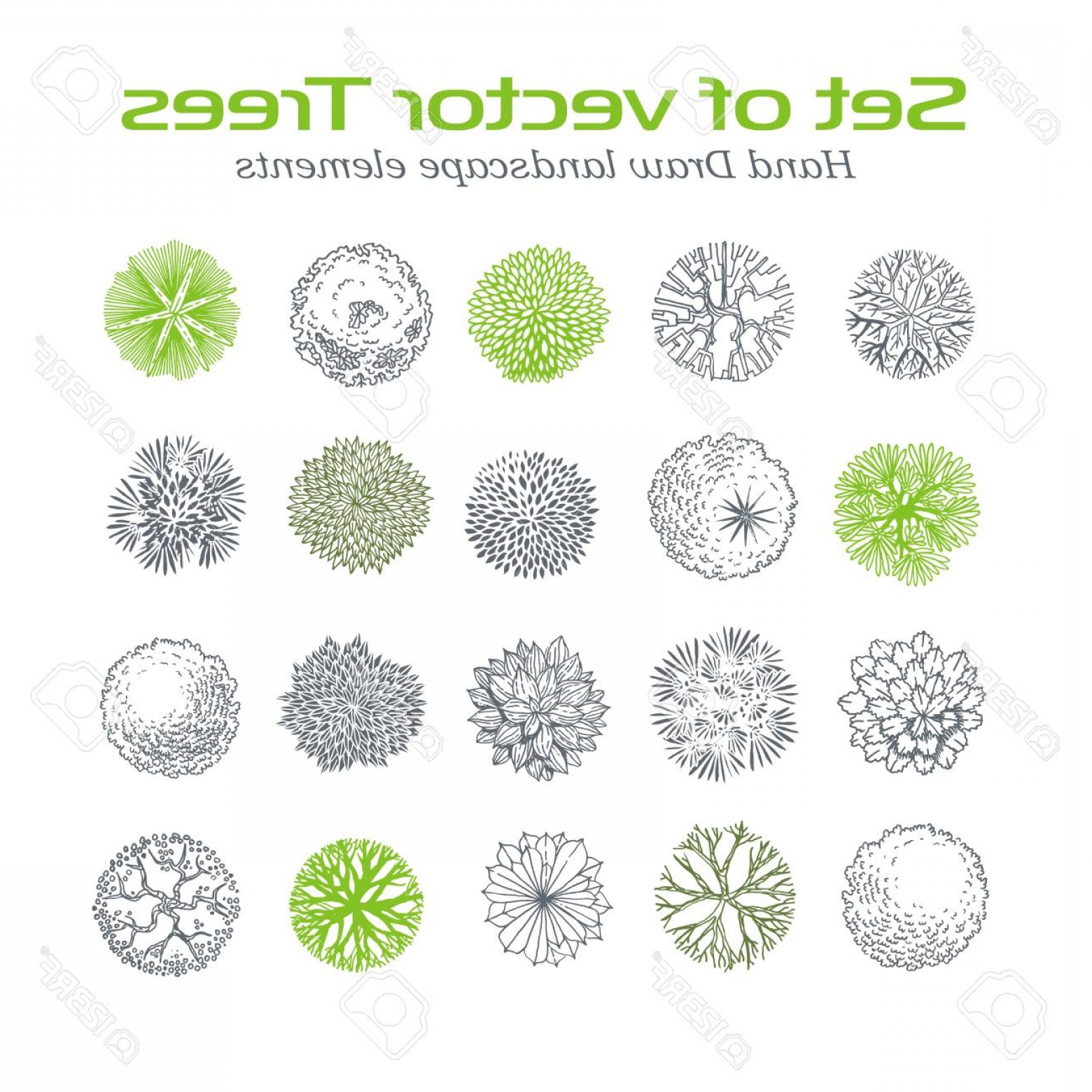 Photostock Vector Trees Top View Different Plants And Trees Vector 1560x1560 Photostock Vector Trees Top View Different Plants And Trees Vector