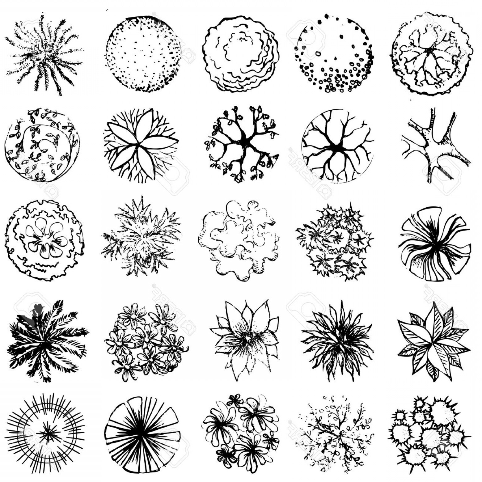 Photostock Vector Vector Illustration Of Treetop Symbols Used 1560x1560 Photostock Vector Vector Illustration Of Treetop Symbols Used