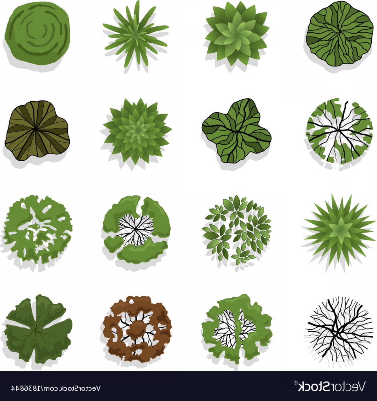 Tree Top View For Landscape Vector Wallkeeper 1200x1278 Tree Top View For Landscape Vector Wallkeeper