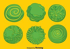 Tree Top View Free Vector Art 286x200 Tree Top View Free Vector Art