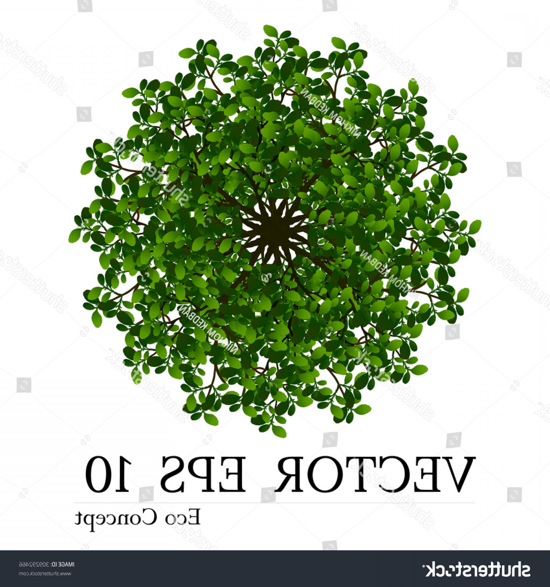 Tree Top View Landscape Vector Illustration Catchsplace 1800x1920 Tree Top View Landscape Vector Illustration Catchsplace