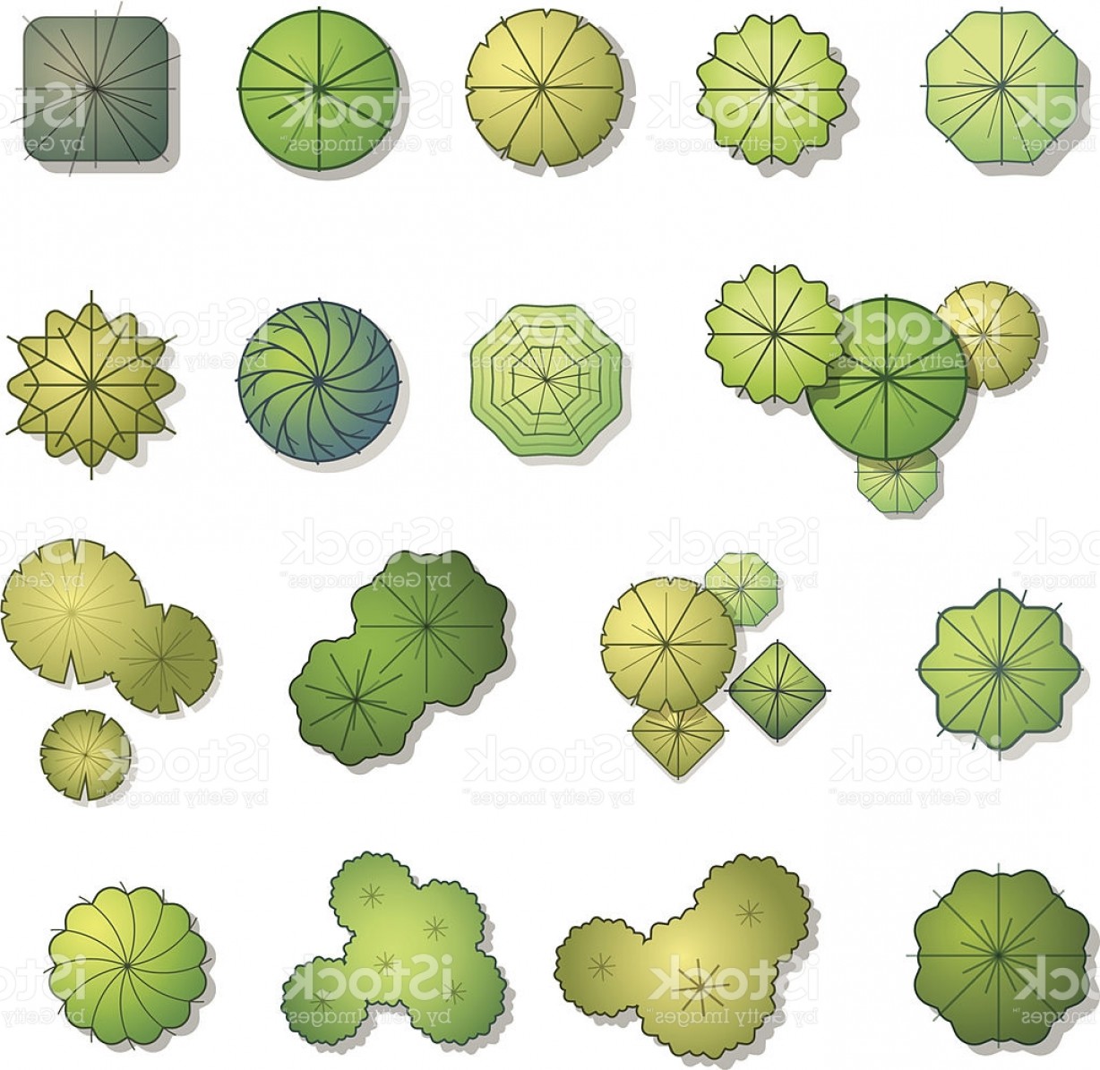 Trees Top View For Landscape Design Vector Illustration Gm Soidergi 1228x1195 Trees Top View For Landscape Design Vector Illustration Gm Soidergi