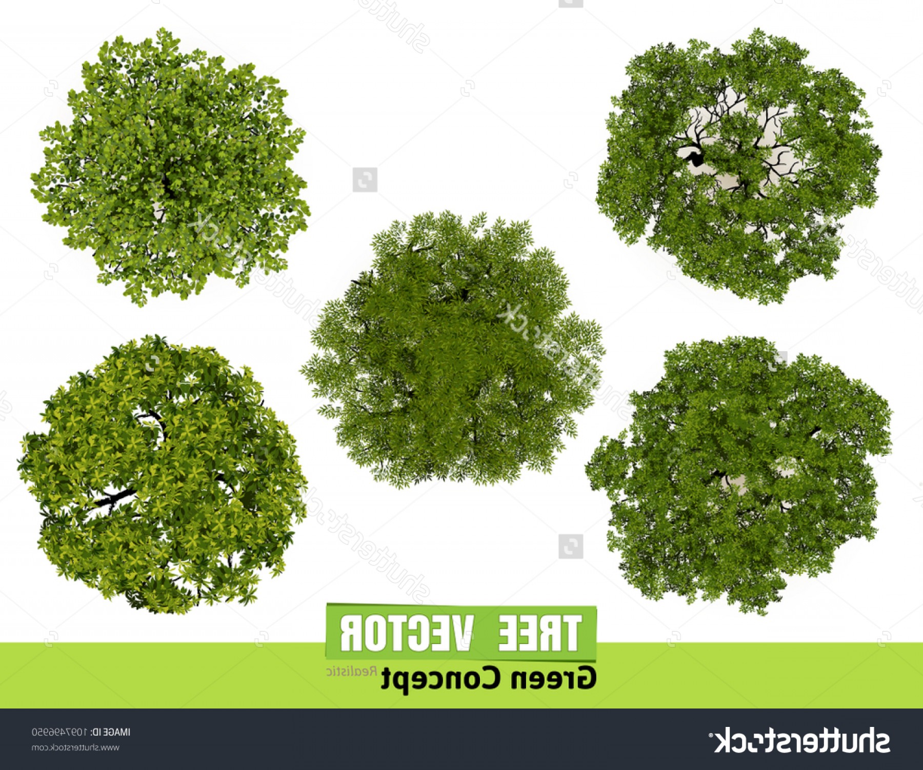 Trees Top View Landscape Vector Illustration Newwaysys 1800x1502 Trees Top View Landscape Vector Illustration Newwaysys