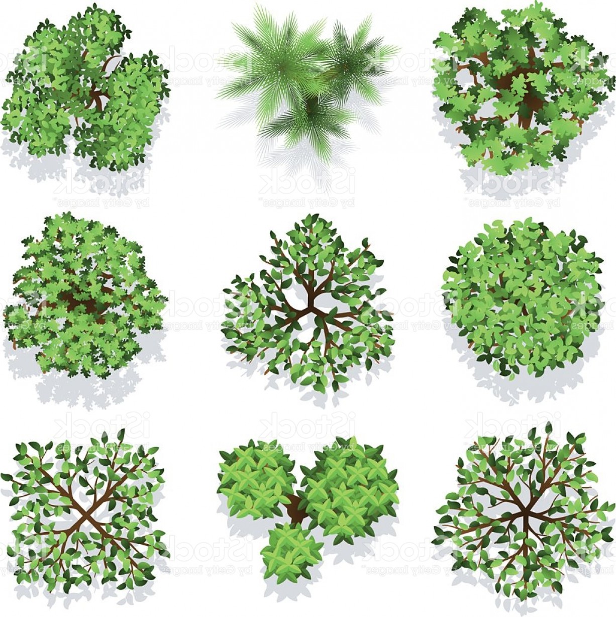 Trees Top View Vector Set For Landscape Design And Map Gm Soidergi 1226x1228 Trees Top View Vector Set For Landscape Design And Map Gm Soidergi