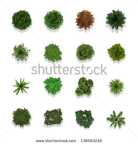 Trees Top View For Landscape Vector Illustration 450x470 Trees Top View For Landscape Vector Illustration
