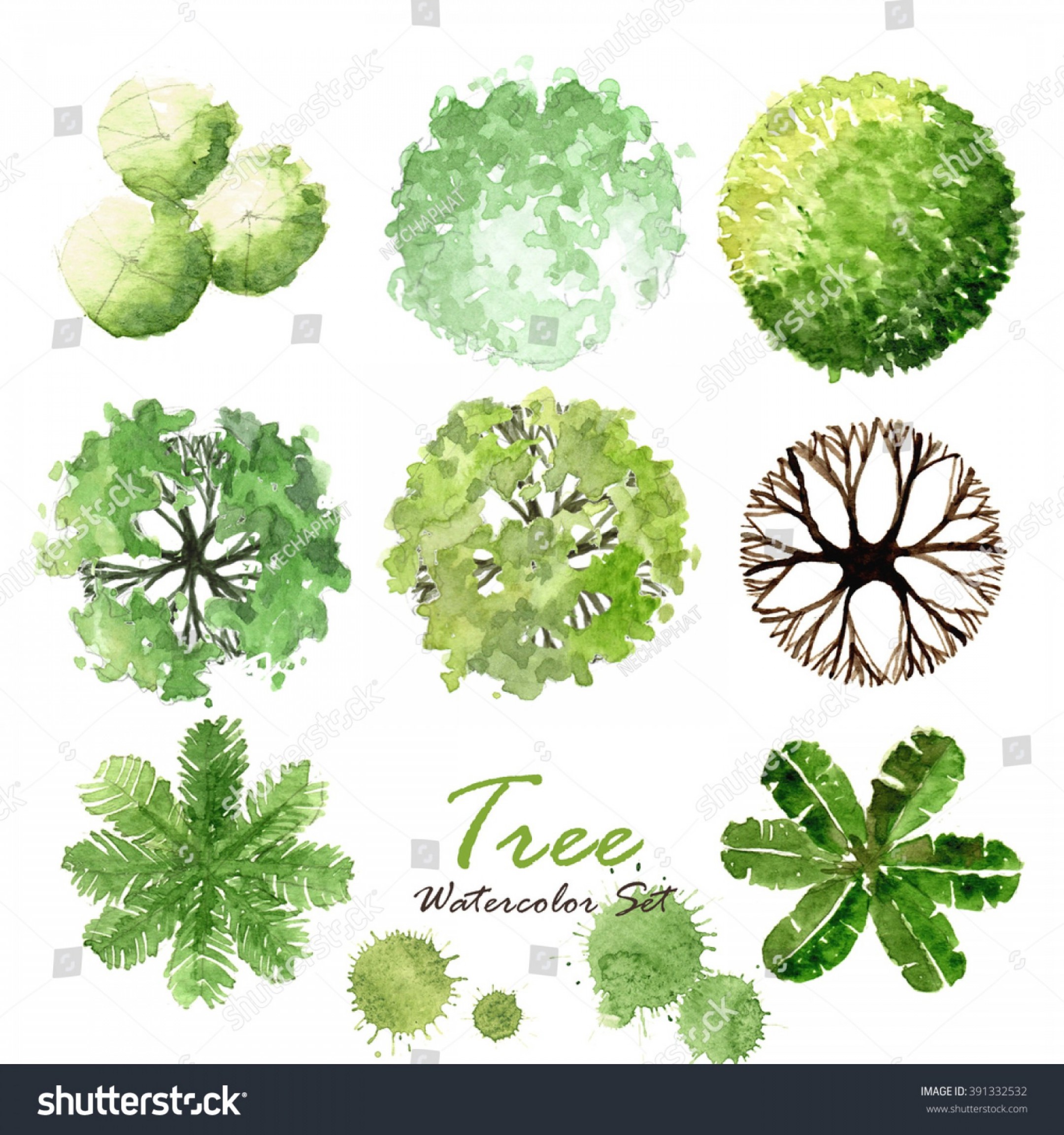 Drawn Free Vector Tree Tops Handandbeak 2160x2304 Drawn Free Vector Tree Tops Handandbeak