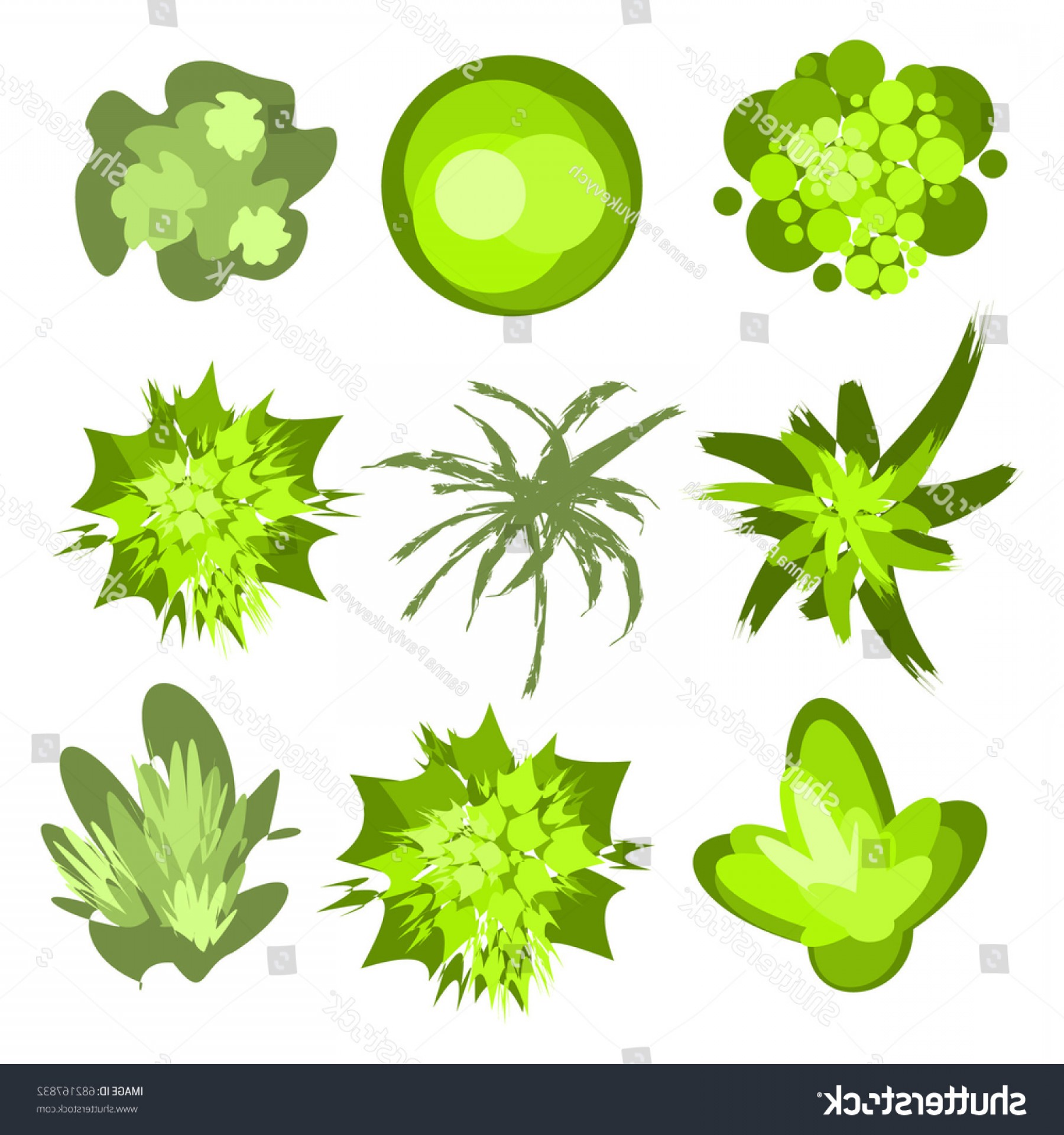 Vector Tree Plant Catamart 1800x1920 Vector Tree Plant Catamart