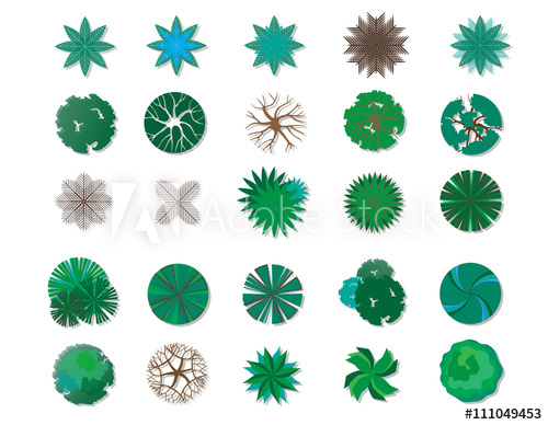 Tree Top View Vector Design To Icon Any Graphic Or Landscape 500x388 Tree Top View Vector Design To Icon Any Graphic Or Landscape