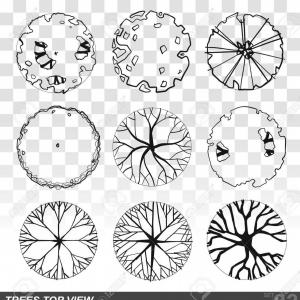 Photostock Vector A Set Of Trees Top View Use In Your Landscape 300x300 Photostock Vector A Set Of Trees Top View Use In Your Landscape