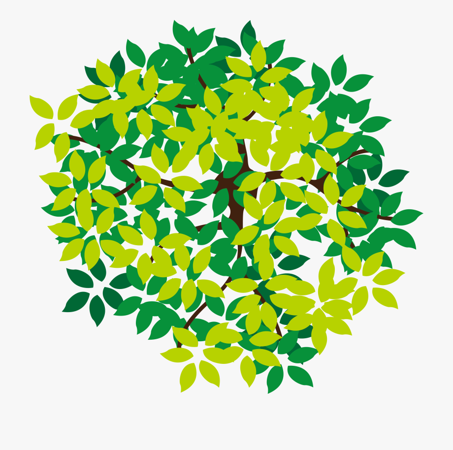 Tree Top View Vector at Vectorified.com | Collection of Tree Top View