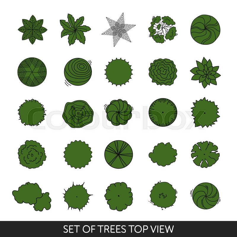 tree top view vector