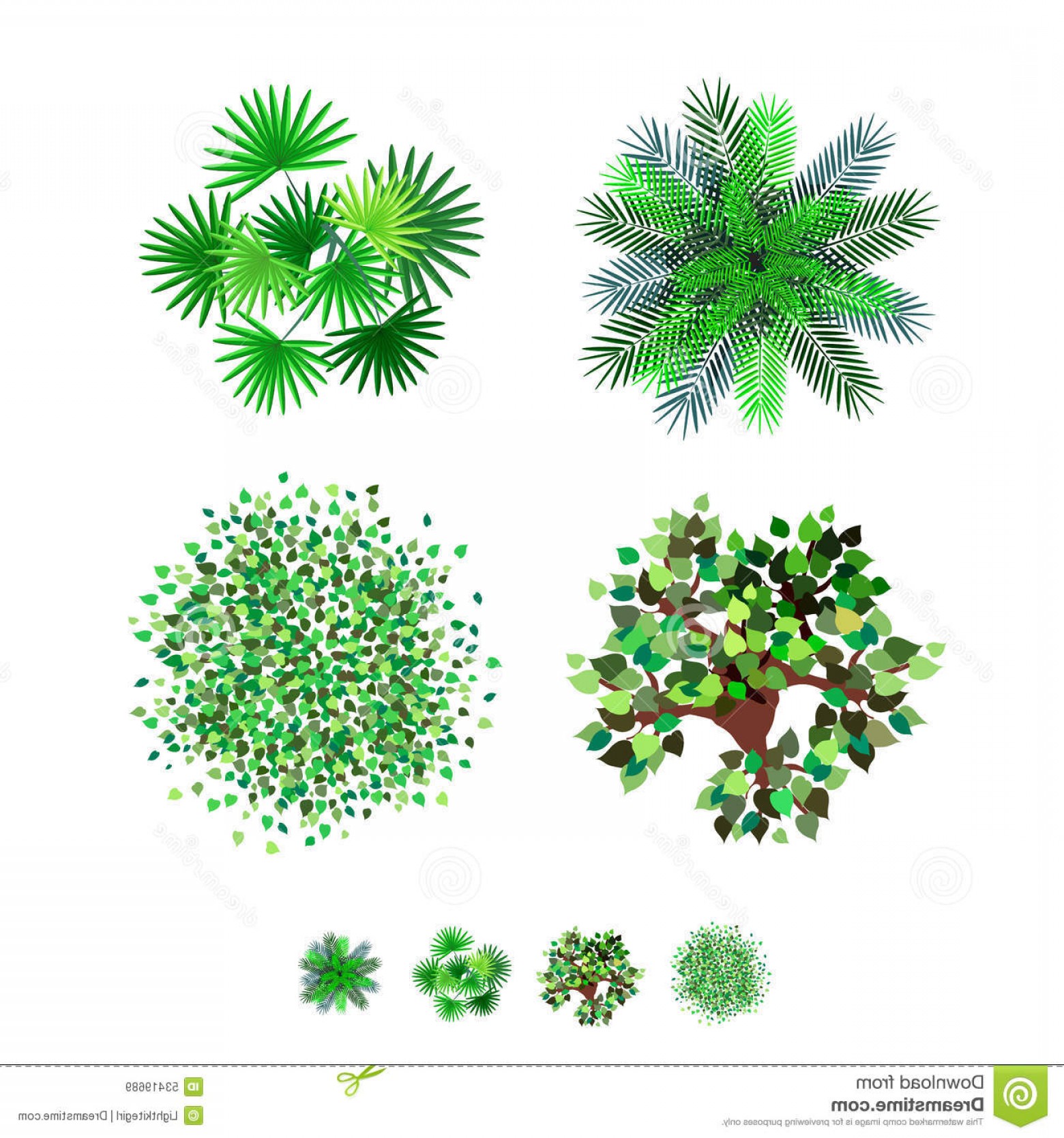 1560x1668 Stock Illustration Trees Top View Vector Set Landscape Design Map
