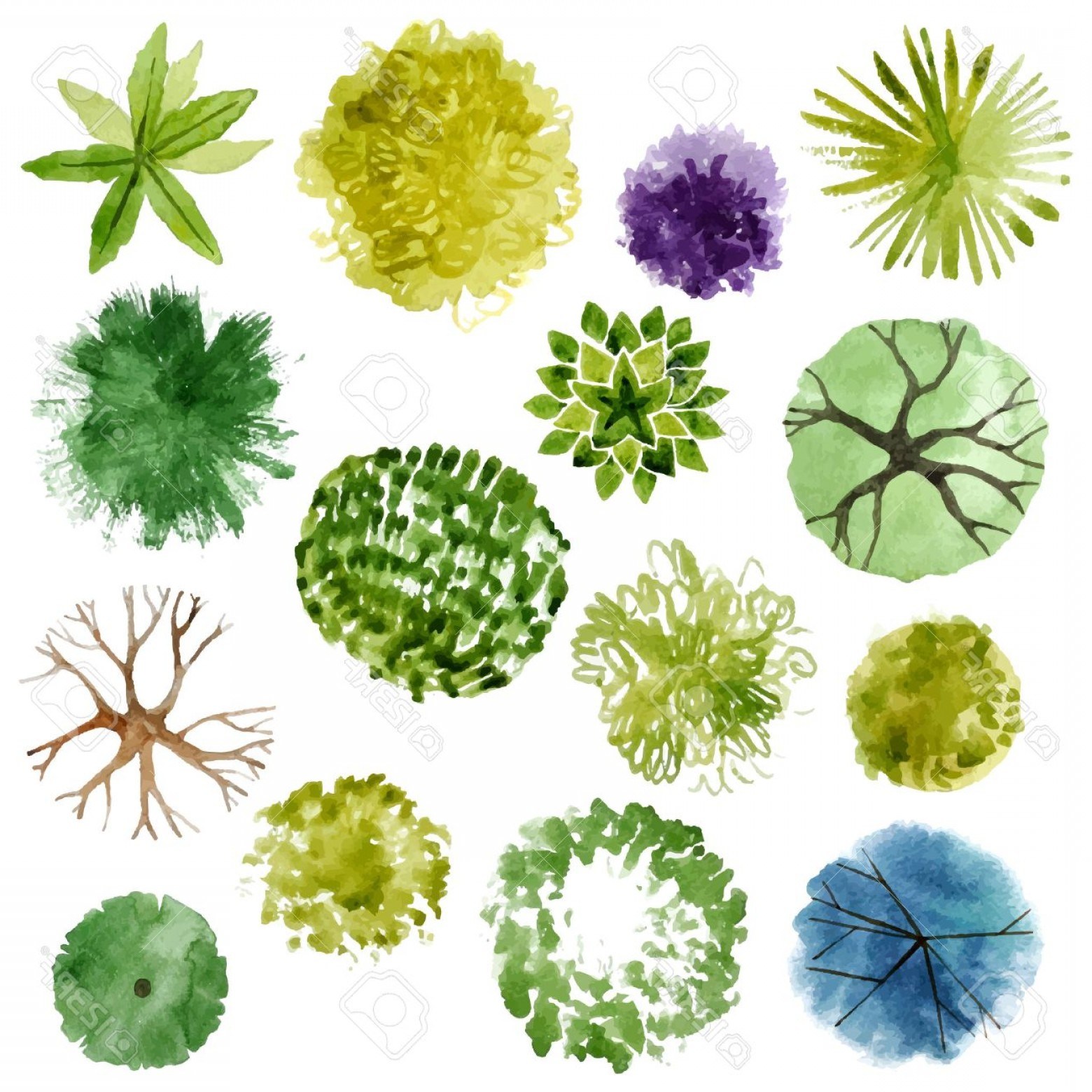 1560x1560 Watercolor Landscape Plan View Symbols Pictures And Ideas