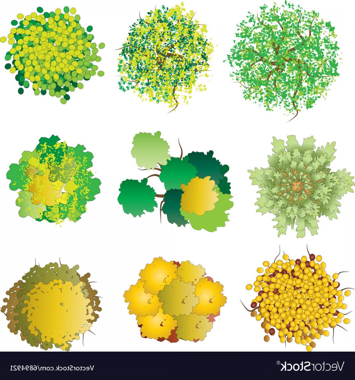 1200x1284 Tree Top View Vector Illustrator Hoodamath