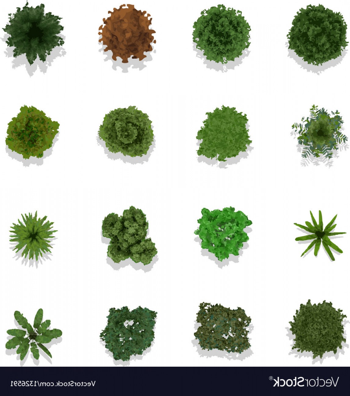 1147x1296 Trees Top View For Landscape Vector Newwaysys