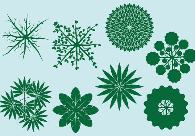 632x443 Trees Top View Landscape Free Vector Download Cannypic