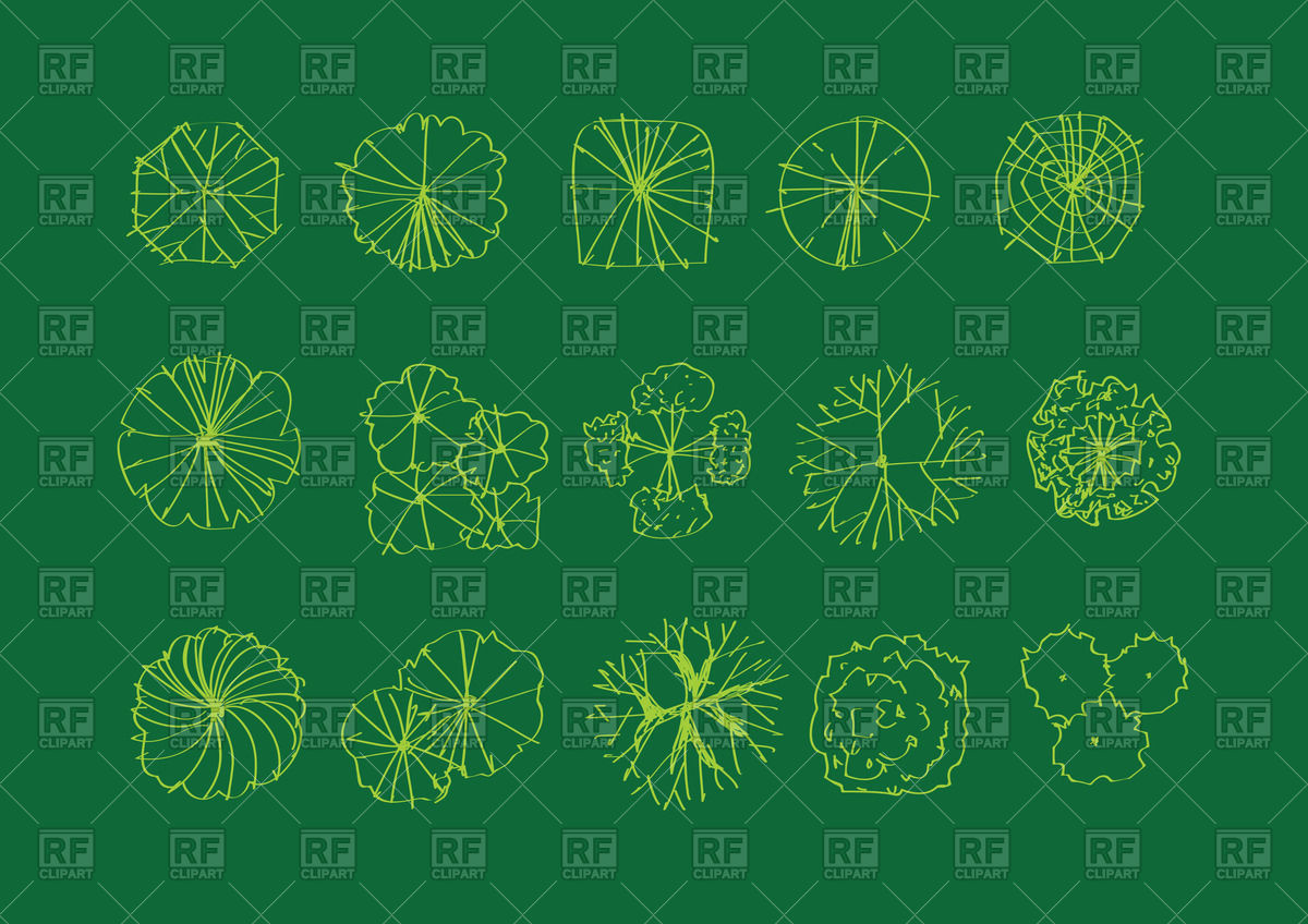 1200x848 Trees Top View Vector Image Of Plants And Animals Tumdee