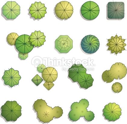 420x409 Trees Top View For Landscape Design Vector Illustration Ps